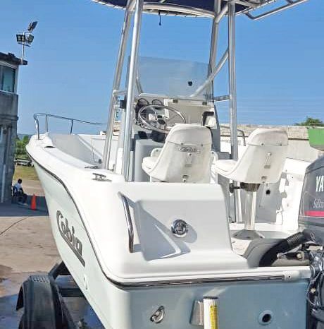 
								COBIA AMERICANO 184 CC 18 full									