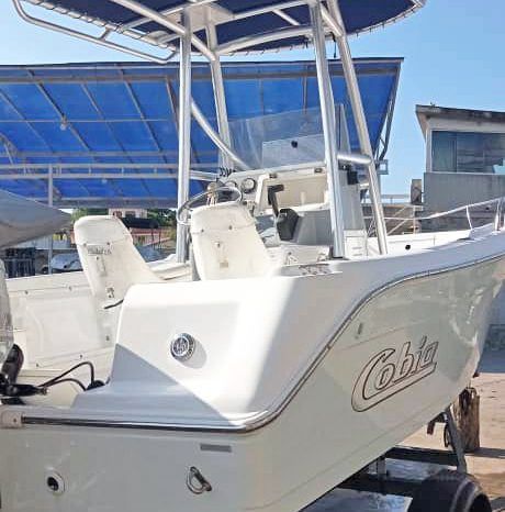 
								COBIA AMERICANO 184 CC 18 full									