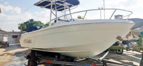 COBIA AMERICANO 184 CC 18
