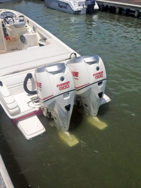 PROMARINE 33