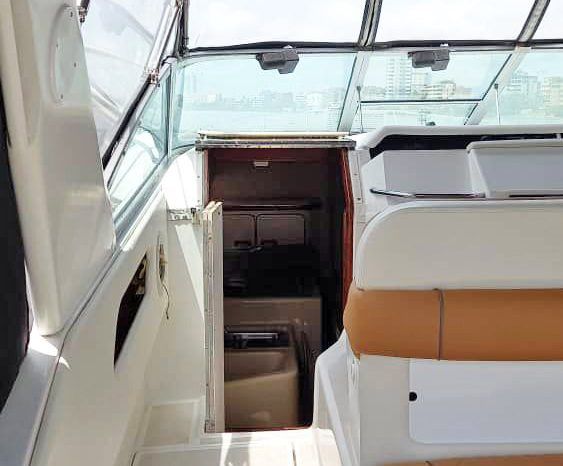 
								SEA RAY SUNDANCER 330 33 full									
