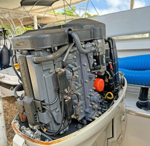 
								PROMARINE OPEN 23 full									