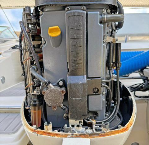 
								PROMARINE OPEN 23 full									
