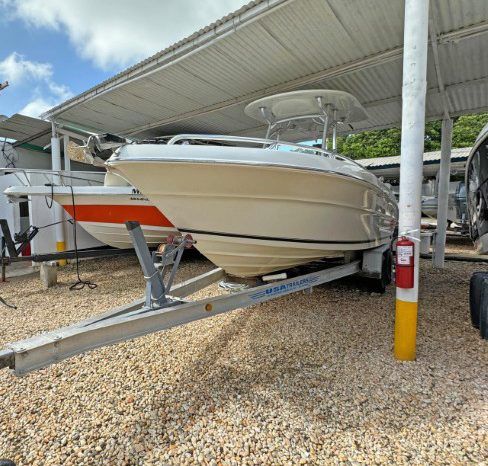 
								PROMARINE OPEN 23 full									