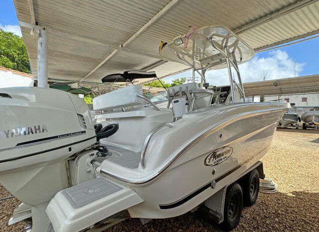 
								PROMARINE OPEN 23 full									