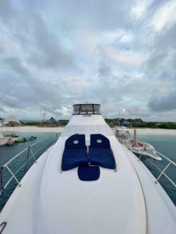 
										SEA RAY SEDAN BRIDGE 58 full									