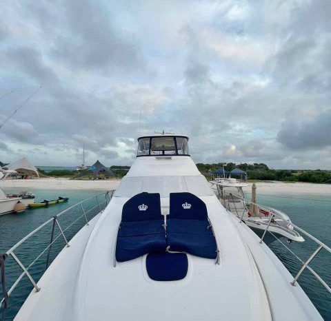 
								SEA RAY SEDAN BRIDGE 58 full									