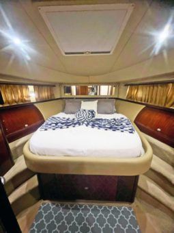 
										SEA RAY SEDAN BRIDGE 58 full									