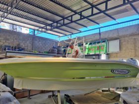 PROMARINE 24