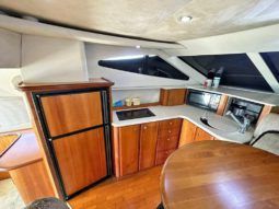 
										SILVERTON 41 full									