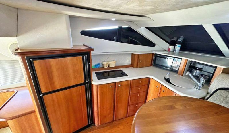 
								SILVERTON 41 full									