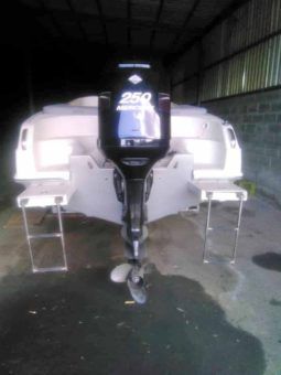 
										SANTOS 24 full									