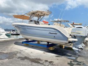PROMARINE OPEN 33