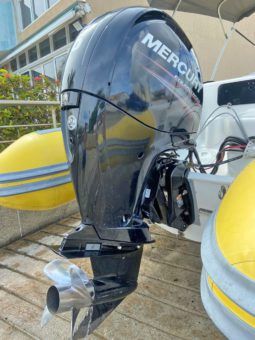 
										DINGHY CARIBE DL 20 full									