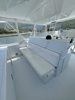 
										HATTERAS 60 full									