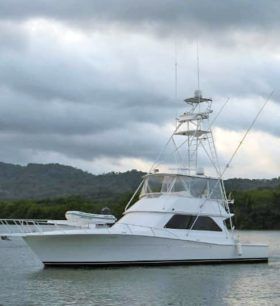 VIKING CONVERTIBLE 50