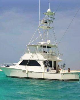 VIKING CONVERTIBLE 50