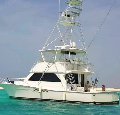 
								VIKING CONVERTIBLE 50 full									