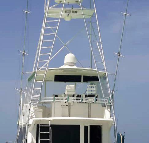 
								VIKING CONVERTIBLE 50 full									