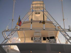 VIKING CONVERTIBLE 50