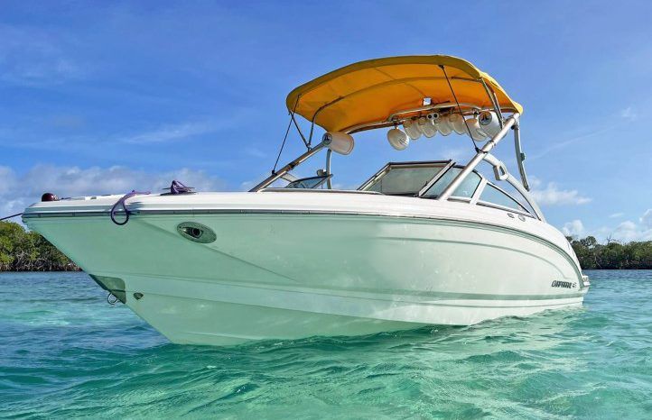 
								CHAPARRAL SSI 226 22.6 full									