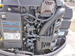 
										PAREJA DE MOTORES MERCURY 150HP full									
