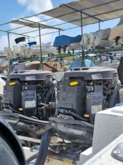 
										PAREJA DE MOTORES MERCURY 150HP full									