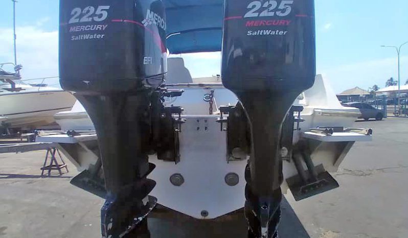 CHAMPION MARINE S29 29 full