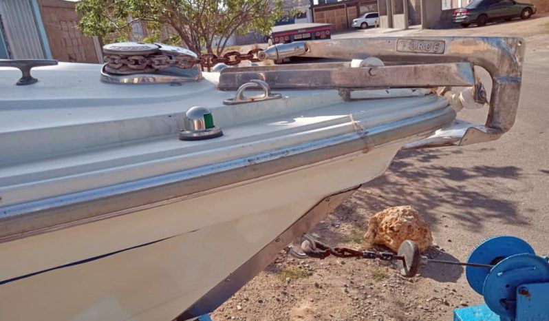 CHAMPION MARINE S29 29 full