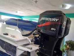 CHAMPION MARINE S29 29 full