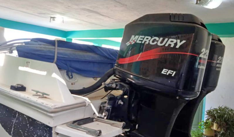 CHAMPION MARINE S29 29 full