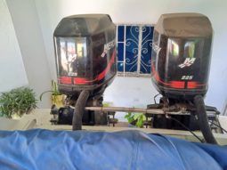 CHAMPION MARINE S29 29 full