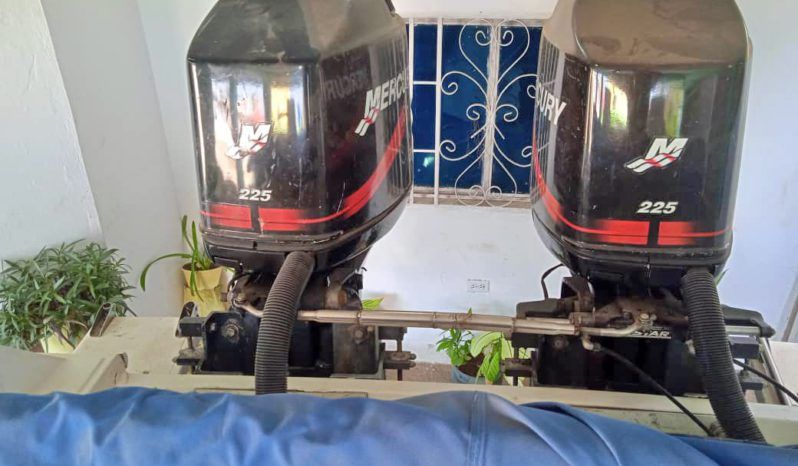 CHAMPION MARINE S29 29 full