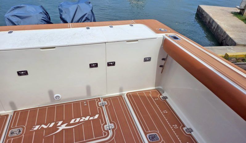 PROLINE SPORT FISHERMAN 26.1 full