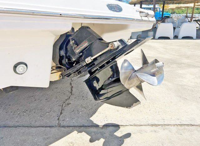 
								CHAPARRAL SSI 226 22.6 full									