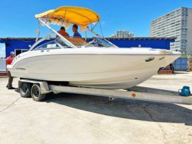 CHAPARRAL SSI 226 22.6