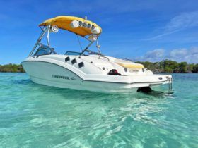 CHAPARRAL SSI 226 22.6