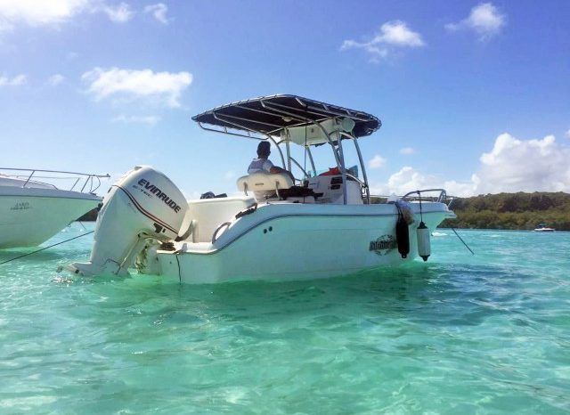 INTERMARINE OPEN 24 full