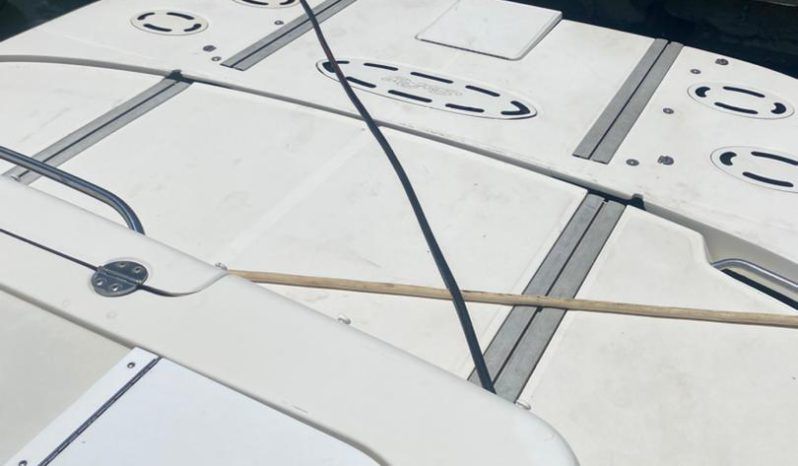 SEA RAY SEDAN BRIDGE 52 full