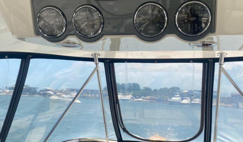 SEA RAY SEDAN BRIDGE 52 full