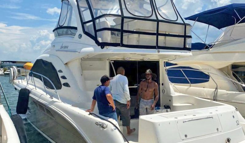 SEA RAY SEDAN BRIDGE 52 full