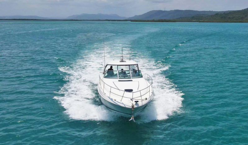 SEA RAY SUNDANCER 40 full