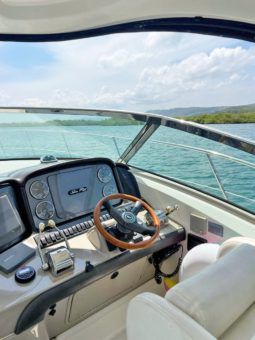 SEA RAY SUNDANCER 40 full