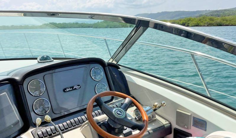 SEA RAY SUNDANCER 40 full