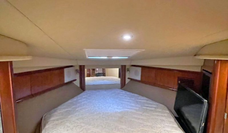 SEA RAY SUNDANCER 40 full