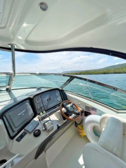 SEA RAY SUNDANCER 40 full