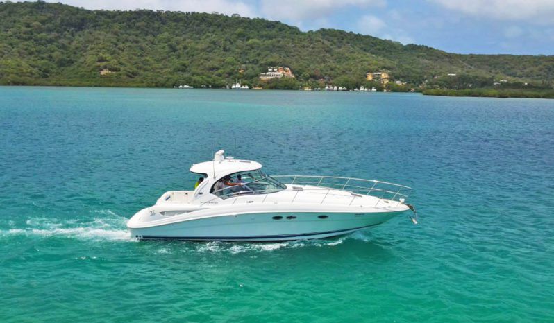 SEA RAY SUNDANCER 40 full