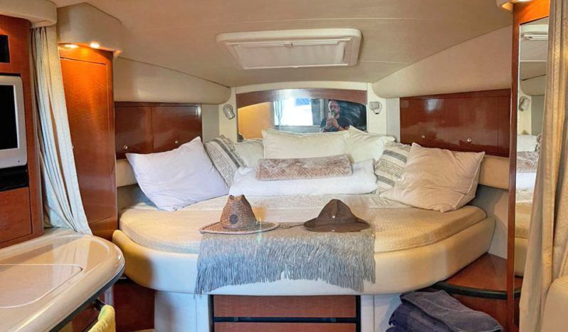 
								SEA RAY SUNDANCER 340 37 full									