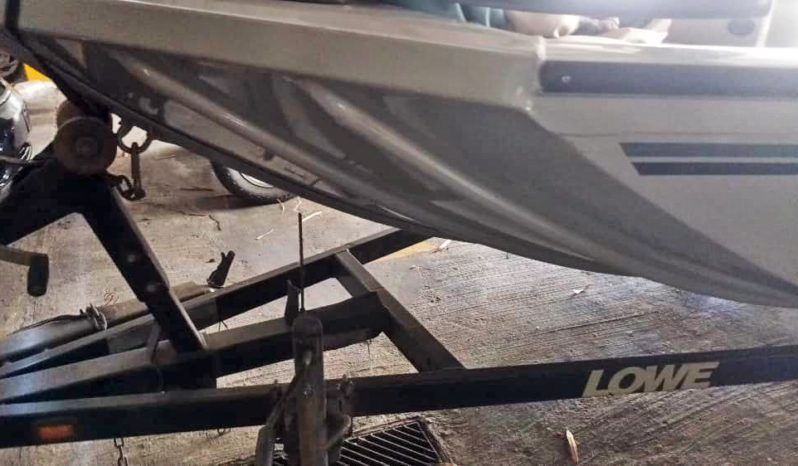 
								LOWE STINGER 170 17 full									