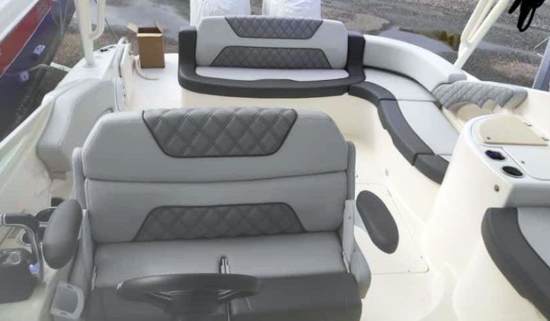 
								PROMARINE EXPRESS 34 full									